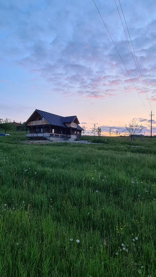 Casa Bunicilor Din Oncesti Villa Exteriör bild