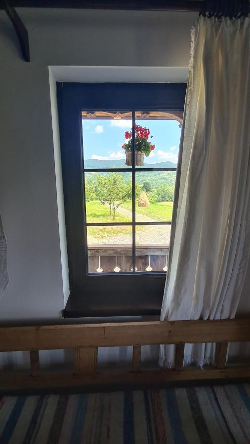 Casa Bunicilor Din Oncesti Villa Exteriör bild