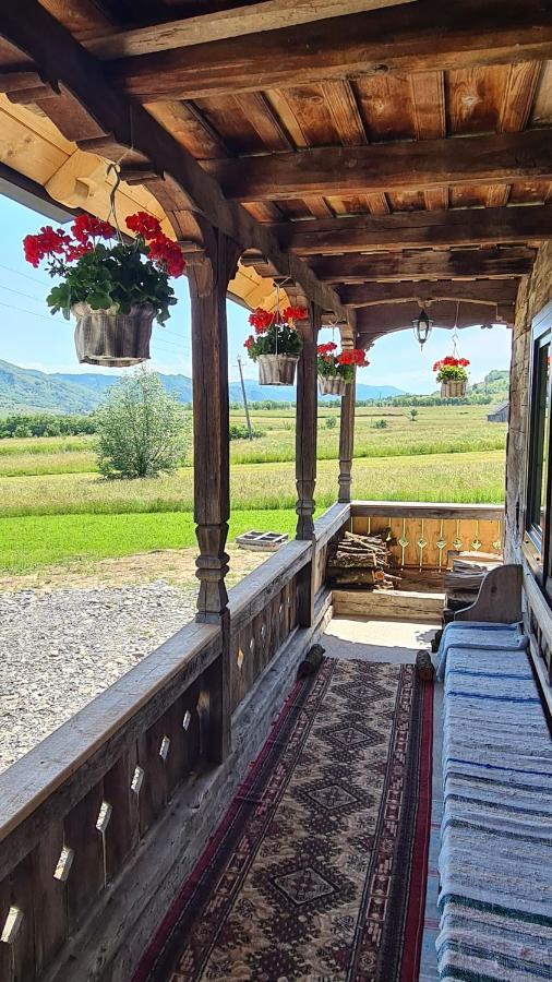 Casa Bunicilor Din Oncesti Villa Exteriör bild